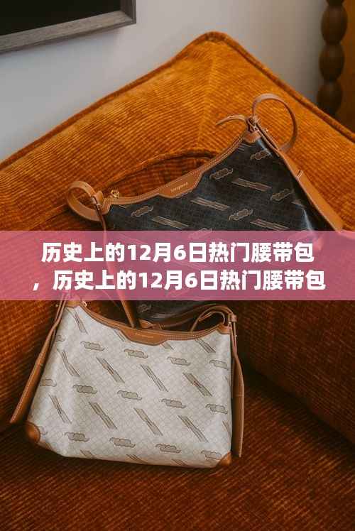 历史上的12月6日热门腰带包深度解析与评测介绍