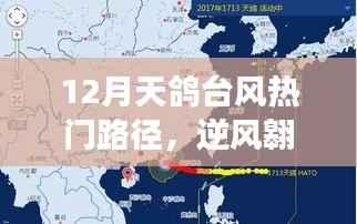 12月天鸽台风热门路径,逆风翱翔,天鸽台风下的励志篇章,变化中的自信与成就之光