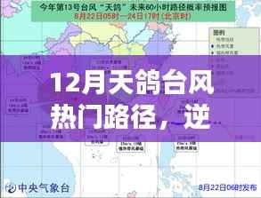 12月天鸽台风热门路径,逆风翱翔,天鸽台风下的励志篇章,变化中的自信与成就之光