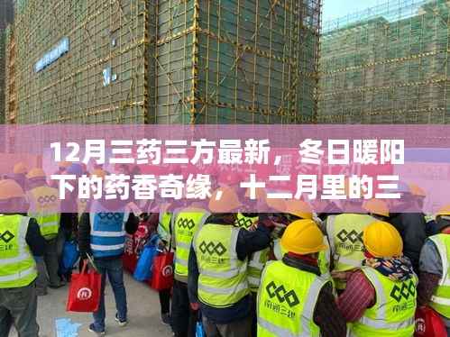 12月三药三方最新,冬日暖阳下的药香奇缘,十二月里的三药三方与暖心故事