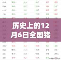 历史上的12月6日全国猪价最新报价行情与市场深度分析