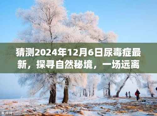 猜测2024年12月6日尿毒症最新,探寻自然秘境,一场远离尘嚣的旅行,预见尿毒症未来的宁静之光