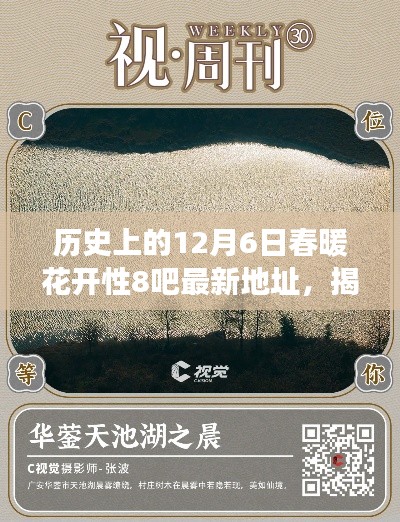 揭秘历史上的十二月六日,春暖花开的知识探索之旅(最新资讯更新)