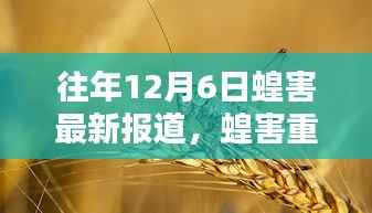 历年12月6日蝗害重现,沙漠迁徙与全球影响关注报道