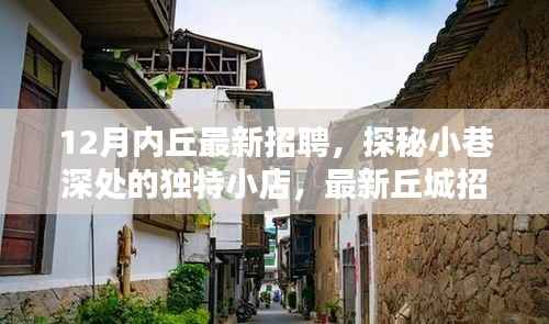 最新丘城招聘攻略,探秘小巷深处的独特小店,12月内丘招聘全解析