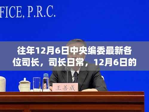 中央编委司长日常与温馨编织,聚焦12月6日的最新动态