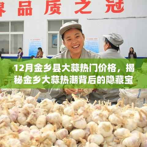揭秘金乡大蒜热潮背后的秘密,热门价格与小巷特色小店的宝藏之旅