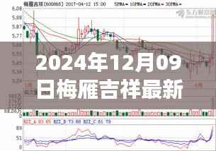 梅雁吉祥科技新品发布,触摸未来,极致生活体验新篇章(2024年12月09日最新价)