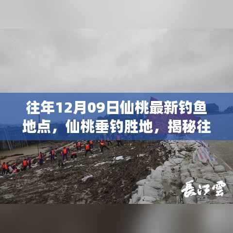 揭秘仙桃垂钓胜地，揭秘往年12月9日最新钓鱼地点背后的故事与魅力