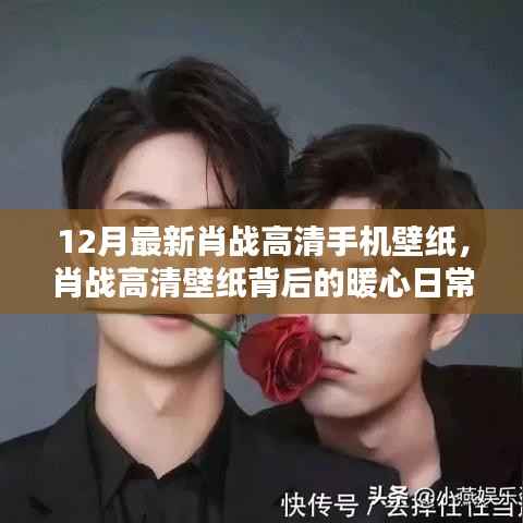 肖战暖心日常高清壁纸,手机屏幕上的友情与爱,12月最新肖战壁纸分享