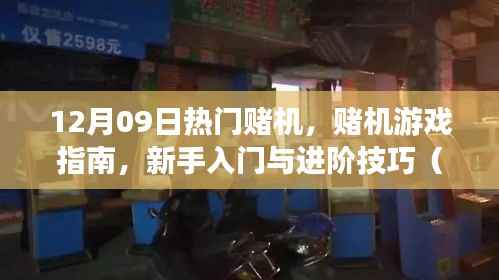 12月09日热门赌机游戏指南,从新手到进阶的技巧详解(附带违法警示)