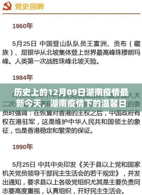 湖南疫情下的爱与陪伴,温馨日常与爱的故事,今日疫情最新更新(12月09日)