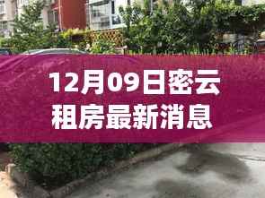 12月密云租房最新动态,自然怀抱中的心灵之旅,探索冬日静谧之美的启程