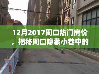 揭秘周口隐藏小巷特色小店与房价背后的故事,体验别样风情,周口热门房价一览(2017年)