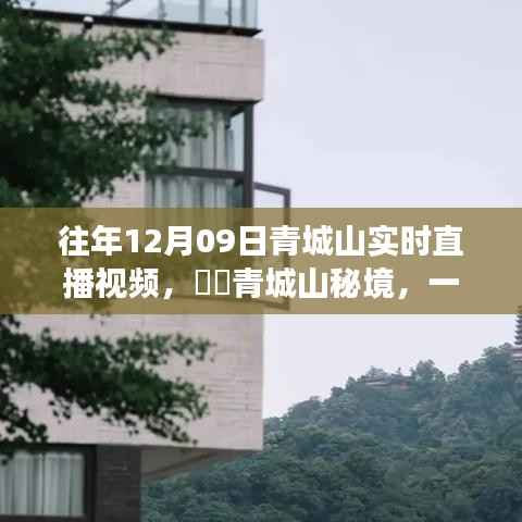 探寻秘境青城山,直播探寻内心平静的奇妙旅程