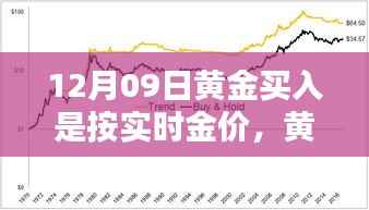 鸷鸟不群 第2页