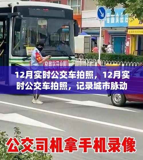 12月实时公交车拍照,记录城市脉动的新风尚