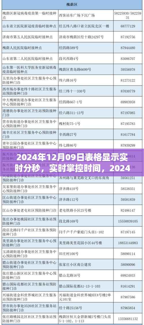 实时掌控时间,2024年12月09日表格显示实时分秒产品评测与详细介绍