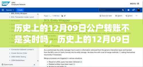 建议,历史上的十二月九日公户转账变迁,自信与成长之路