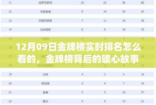 金牌榜背后的暖心故事与美好时光,实时排名与共度时光的瞬间