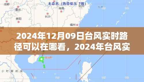 2024年台风实时路径观测平台深度解析及查询指南