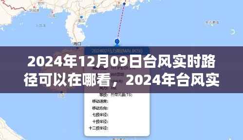 2024年台风实时路径观测平台深度解析及查询指南