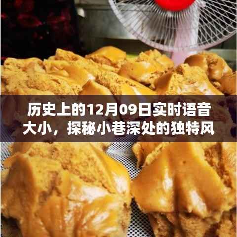 探秘历史小巷深处的语音大小特色小店,12月09日的独特风味
