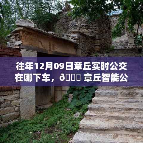 章丘智能公交导航,一键下车重塑生活,历年12月09日实时公交路线详解