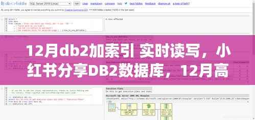 揭秘DB2数据库高效加索引,实时读写秘籍大解密!小红书分享指南!