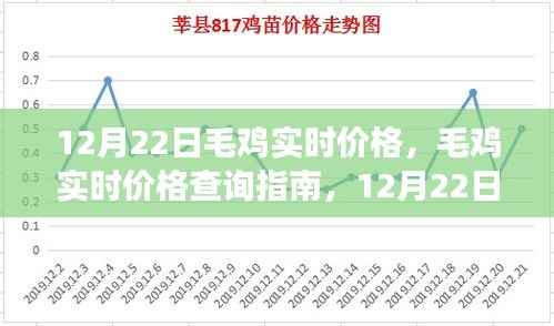 12月22日毛鸡实时价格查询指南,获取准确信息的途径
