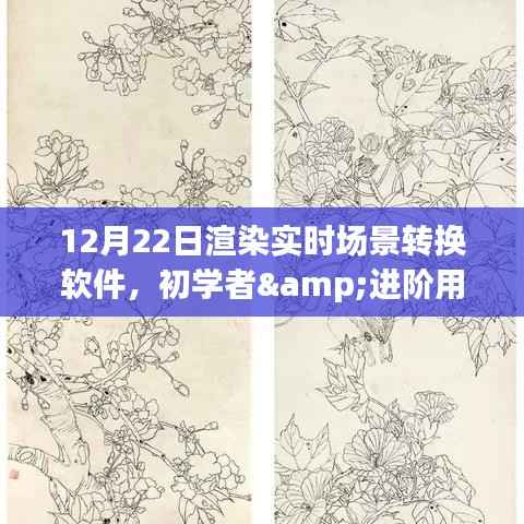 初学者与进阶用户适用的渲染实时场景转换软件使用全攻略,从入门到精通的指南