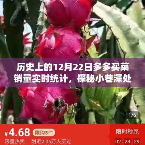 多多买菜历史销量揭秘,探秘小巷宝藏,揭秘12月22日销量奇迹实时统计