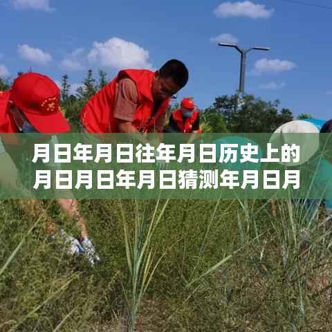 张家口蒿草浓度历史数据与实时查询指南，探索年月日间的秘密