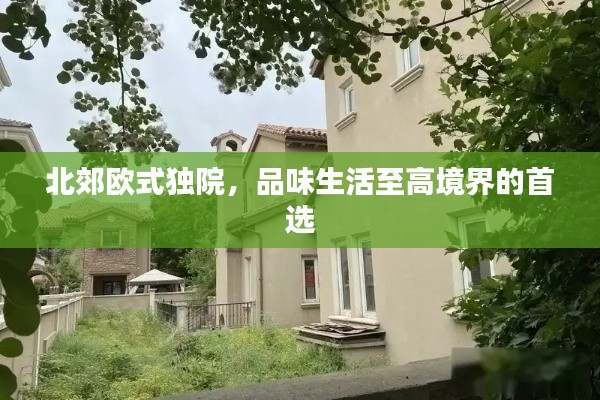 鸟骇鼠窜 第2页