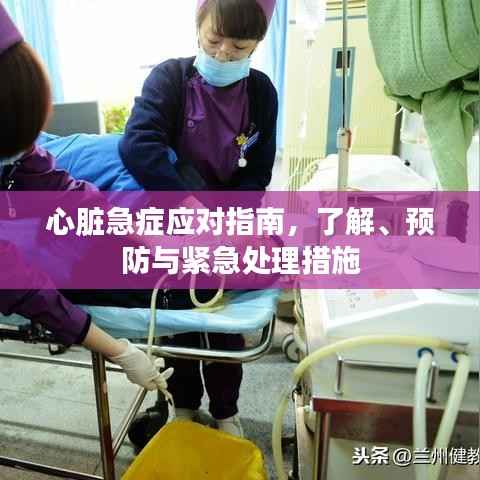 心脏急症应对指南,了解、预防与紧急处理措施