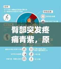 自作主张 第2页