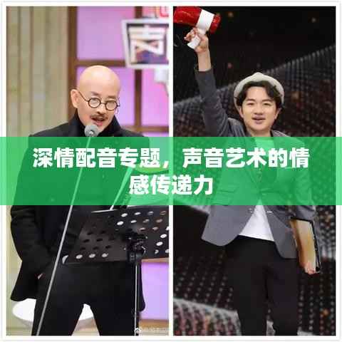 深情配音专题,声音艺术的情感传递力