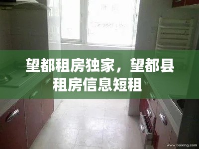 望都租房独家,望都县租房信息短租