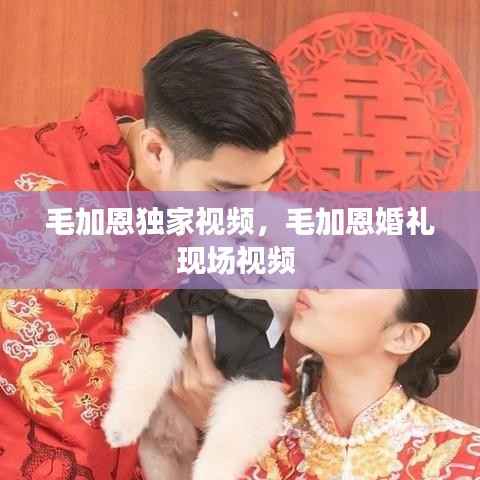 毛加恩独家视频,毛加恩婚礼现场视频