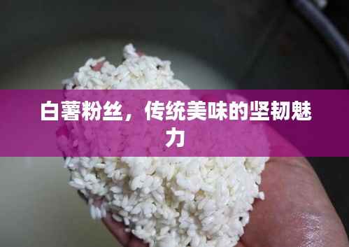 白薯粉丝,传统美味的坚韧魅力