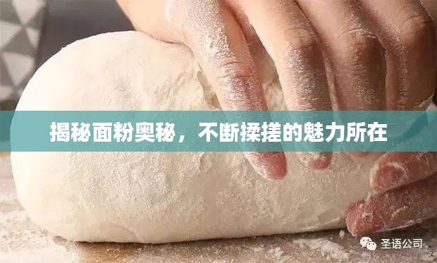 揭秘面粉奥秘,不断揉搓的魅力所在