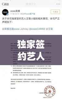 独家签约艺人解约内幕揭秘,原因探究与未来展望