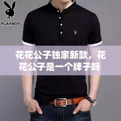 惊弓之鸟 第2页