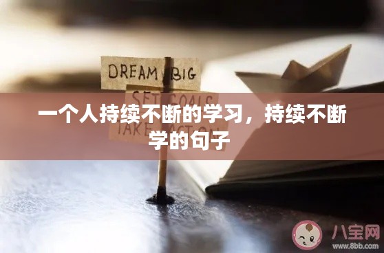 一个人持续不断的学习,持续不断学的句子