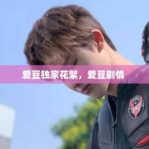 爱豆独家花絮,爱豆剧情