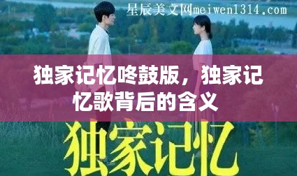 独家记忆咚鼓版,独家记忆歌背后的含义