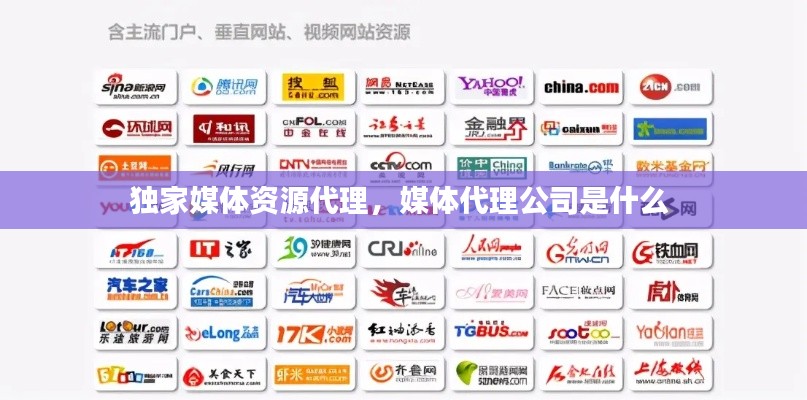 独家媒体资源代理,媒体代理公司是什么