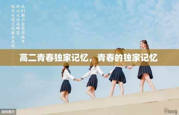 高二青春独家记忆,青春的独家记忆
