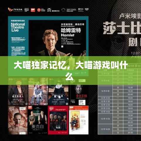 大喵独家记忆,大喵游戏叫什么