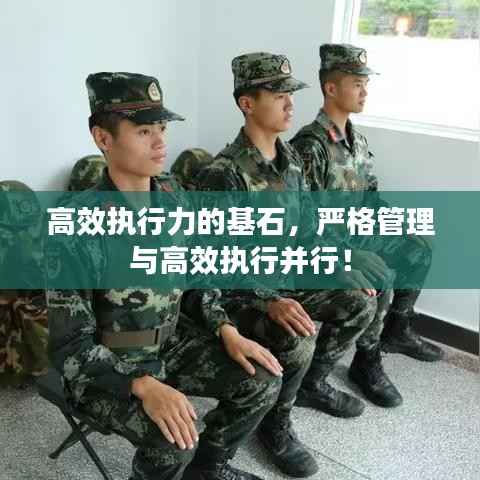 高效执行力的基石,严格管理与高效执行并行!